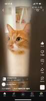 https://images.plurk.com/1LkeeSS0m2liprT8VnSUIQ.png