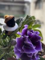https://images.plurk.com/1LlMwR0HnZ50UBilIREC3E.jpg