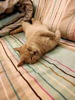 https://images.plurk.com/1Lms78zjzmLb3W12wCOj6a.jpg