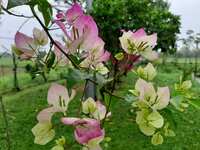 https://images.plurk.com/1LvcbuRNYk6iqJFvS4Q63r.jpg