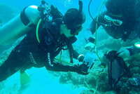 https://images.plurk.com/1LwOglR1LDY6yhwjFZy7XM.jpg