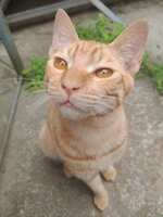 https://images.plurk.com/1Lwq2REEPZ7NsCdKPaVzs7.jpg