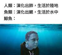 https://images.plurk.com/1LyEytr8UF8QEtcAEz09jU.jpg