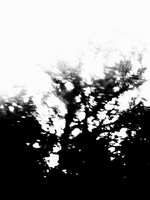 https://images.plurk.com/1LzCjPJUZfxM91vUzU7Gs8.jpg