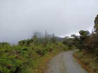 https://images.plurk.com/1M30mV47Gl0VGZHBqD0IRk.jpg