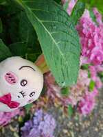 https://images.plurk.com/1M3hWM8RTQp7qIaf7E7loP.jpg
