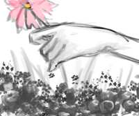 https://images.plurk.com/1MBkRcEPOmP9Lwow9Oy7bW.png