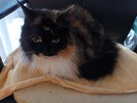 https://images.plurk.com/1ME62hAyoTJRH93fSfvE0v.jpg