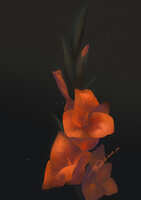 https://images.plurk.com/1MGJFSKeGo6BGTAhHBAx90.jpg