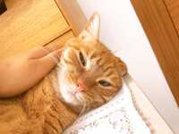 https://images.plurk.com/1MPTXDtNCeeWVtsVXPYdpy.jpg