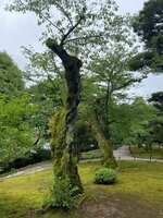 https://images.plurk.com/1MUfImEYmEOe649gCd0DNZ.jpg