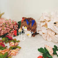 https://images.plurk.com/1MgfsgYPFbTZ6TLr6kf8SD.jpg