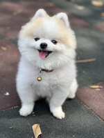 https://images.plurk.com/1MpiMPwzq0AFu2vKMXNS1w.jpg