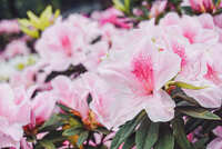https://images.plurk.com/1Mt6pq6KlGDABRkO8ONJk.jpg