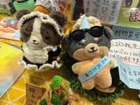 https://images.plurk.com/1N09bg3by9FKy9IffWPDyS.jpg