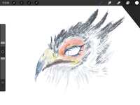 https://images.plurk.com/1N58FHJYVwwCO9MenWJlKR.png