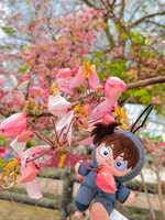 https://images.plurk.com/1N5sD2HZZeO2jw8Dxg8Xl2.jpg