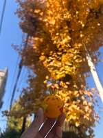 https://images.plurk.com/1NG3eazA0Wp8cTQS6YlSx6.jpg