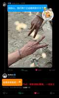 https://images.plurk.com/1NOCAw74YT9izQQhACalm2.png
