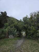 https://images.plurk.com/1NmtAE0SBXCmSwp4ONJL4E.jpg
