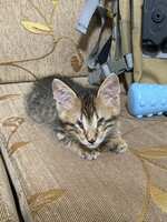 https://images.plurk.com/1NnS7VBLNmJeKkryWVEIhN.jpg