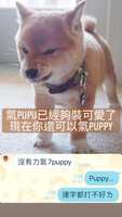https://images.plurk.com/1NppVUGONcwr0vqgBAZoRB.jpg