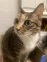 https://images.plurk.com/1Nr7PLKr61pzCEskguOgXG.jpg
