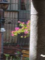 https://images.plurk.com/1NrHWhASiNY4hN2NwjwpM8.jpg