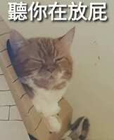 https://images.plurk.com/1O562VP5wr2nWAVWhlR62u.jpg