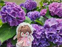 https://images.plurk.com/1O8GDWgQFuatCk7Sbws7wj.jpg