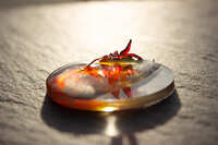 https://images.plurk.com/1OBv2fSJff9sBKwHSEoWr3.jpg