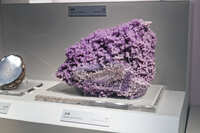 https://images.plurk.com/1OGASzeMk3xn4i8iXIXazV.jpg