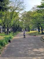 https://images.plurk.com/1ONMWCpqfCwzo9AIwFemsD.jpg