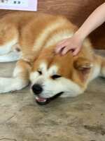 https://images.plurk.com/1ONlY3uLIipSN61bgwGNtR.jpg
