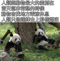 https://images.plurk.com/1OXFi22o1yRnRBDhJv1SQS.jpg