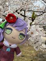 https://images.plurk.com/1OYWyfKcYJxpuP25yY9vLe.jpg