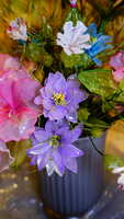 https://images.plurk.com/1OehvwhfREmfsvjjm4ESA7.jpg