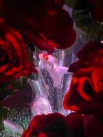 https://images.plurk.com/1Oi7R3GhQRquep1w8Ed62t.jpg