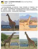 https://images.plurk.com/1OskBzI1rM5cUvPLK9HwA3.png