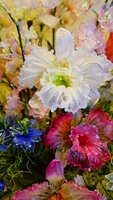 https://images.plurk.com/1OvS3UGNET2aNNtTfqwxtW.jpg
