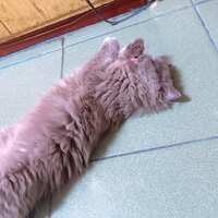 https://images.plurk.com/1OzV1LVsKuOSzVJ32CQqvP.jpg