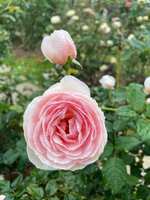 https://images.plurk.com/1P00gNAcH5F5BJNKDmD3Oy.jpg