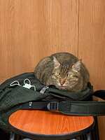 https://images.plurk.com/1P480KqYllO6tSzlV1TvQl.jpg