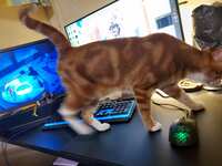 https://images.plurk.com/1P8U1gpUDbrsPrAWLOB4Ru.jpg