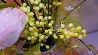 https://images.plurk.com/1P932Ysurb8FcUcTWWQlqX.jpg