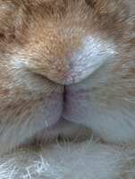 https://images.plurk.com/1PFzzsW3qZbbEnd4AIrRDN.jpg