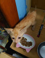 https://images.plurk.com/1PIdLwRZSBT6Op3mqKgsHY.jpg