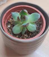 https://images.plurk.com/1PSS4Knmgg3fhhVgMtlbfw.jpg