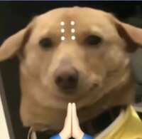 https://images.plurk.com/1PVQatJPPbJqy6auBkJNwx.jpg