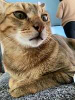 https://images.plurk.com/1Pcr8o4X8300MmHSayi1yv.jpg